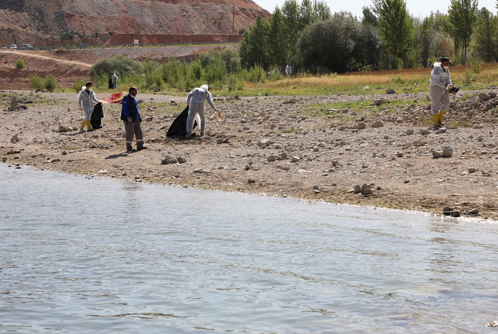 ALTINAPA TEMİZLİK3