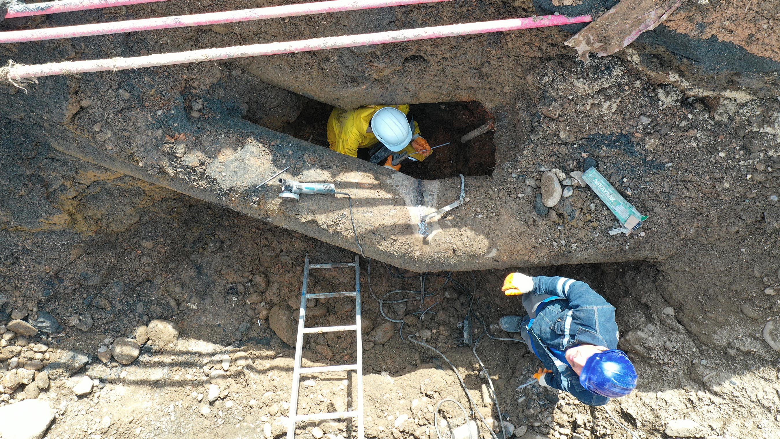 terfikuyularıaktive7