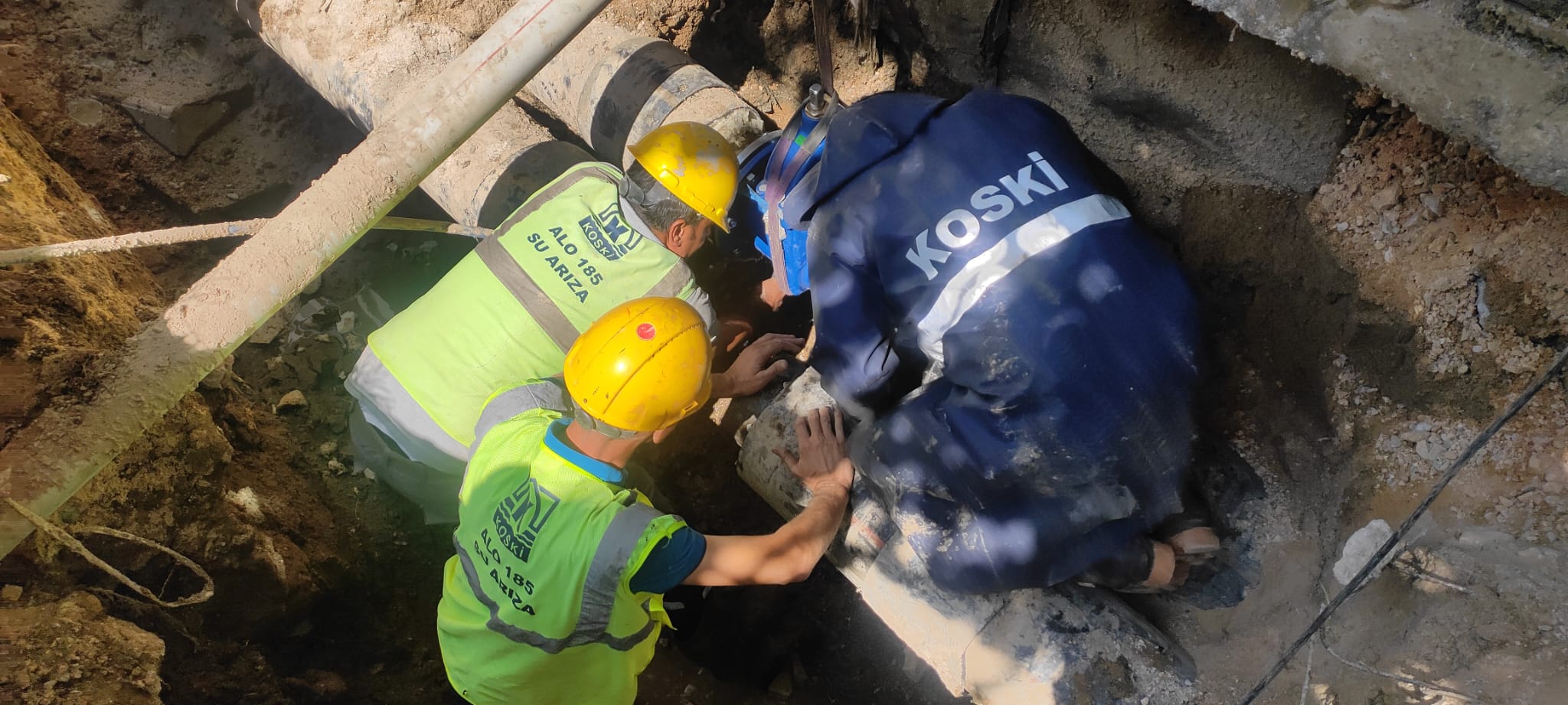 suarızayamüdahalenumune