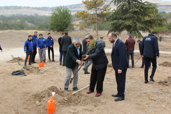 KOSKİ MİLLİ AĞAÇLANDIRMA GÜNÜ’NDE FİDANLARI…