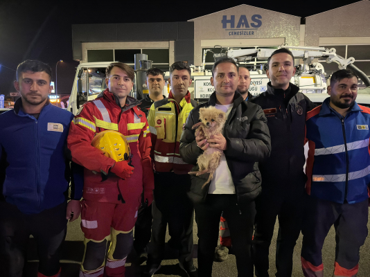 köpek kurtarma operasyonu