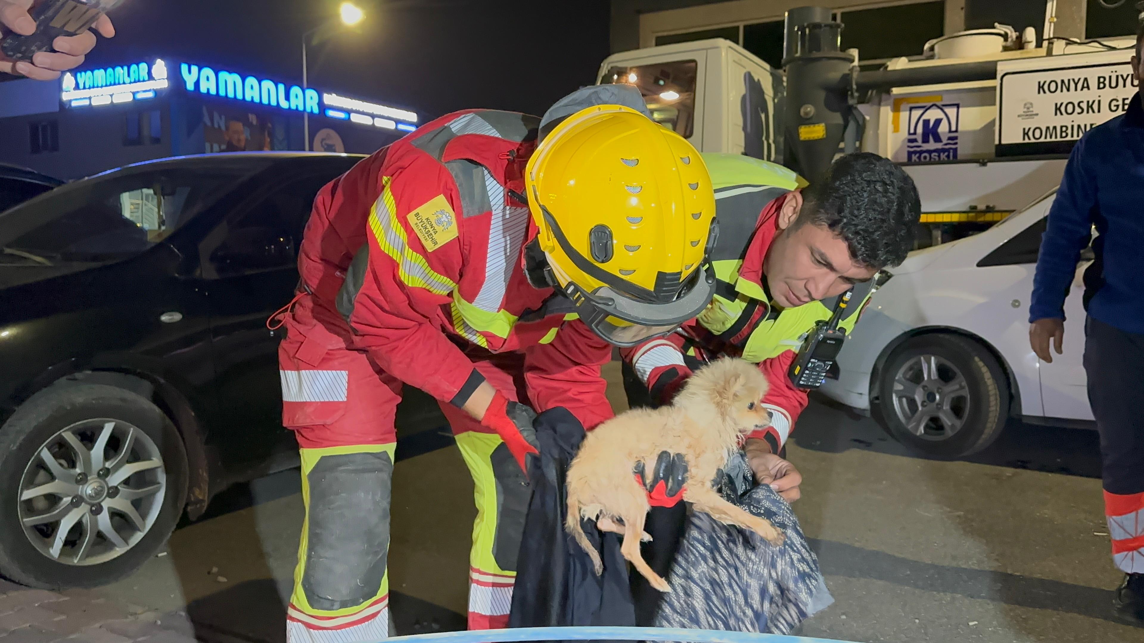köpek kurtarma operasyonu