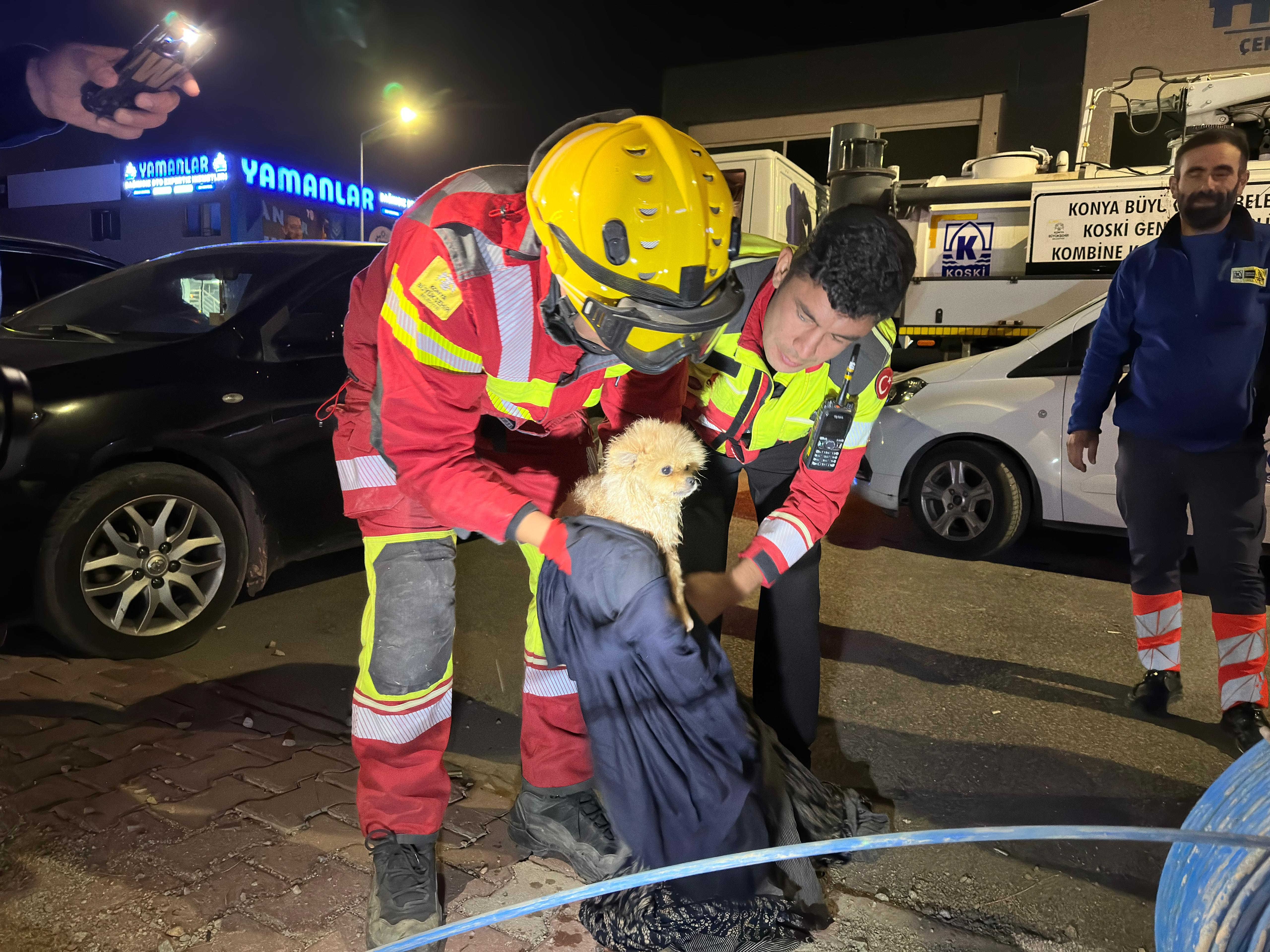 köpek kurtarma operasyonu